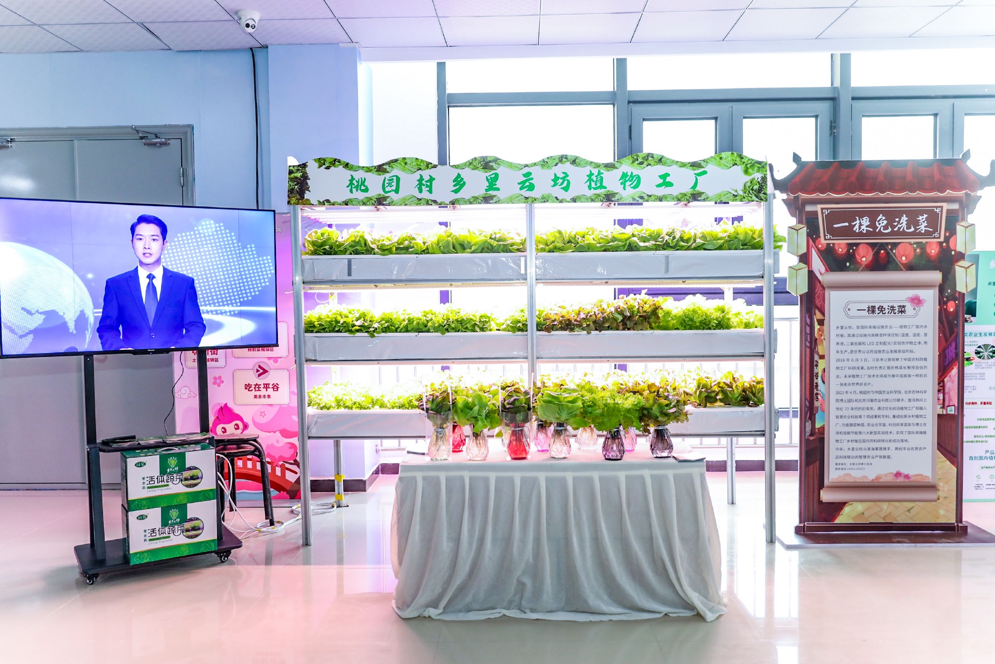 頭茬鮮桃擺進(jìn)桃花海！平谷土特產(chǎn)與蔬菜零售攜手亮相