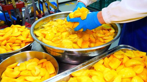 探秘月產(chǎn)三萬(wàn)瓶的巨型水果罐頭工廠 手工制作背后的壯麗樂章